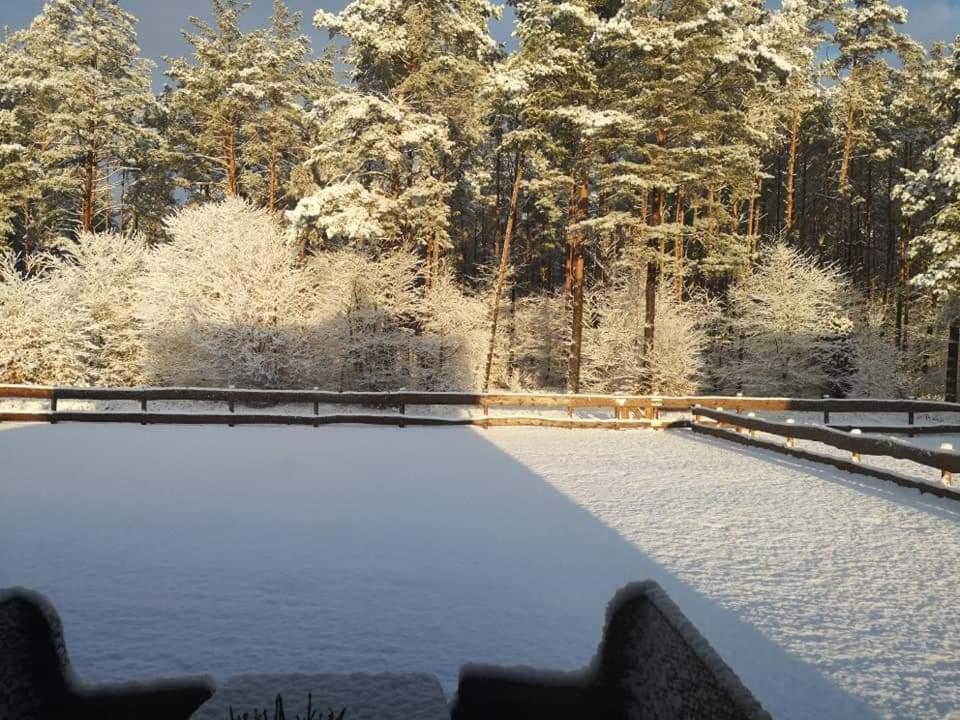 Kaszuby W Ostoja Bukowo - U Malgoski Domek 6 Z Widokiem Na Las I Internetem Villa Borowy Mlyn Buitenkant foto