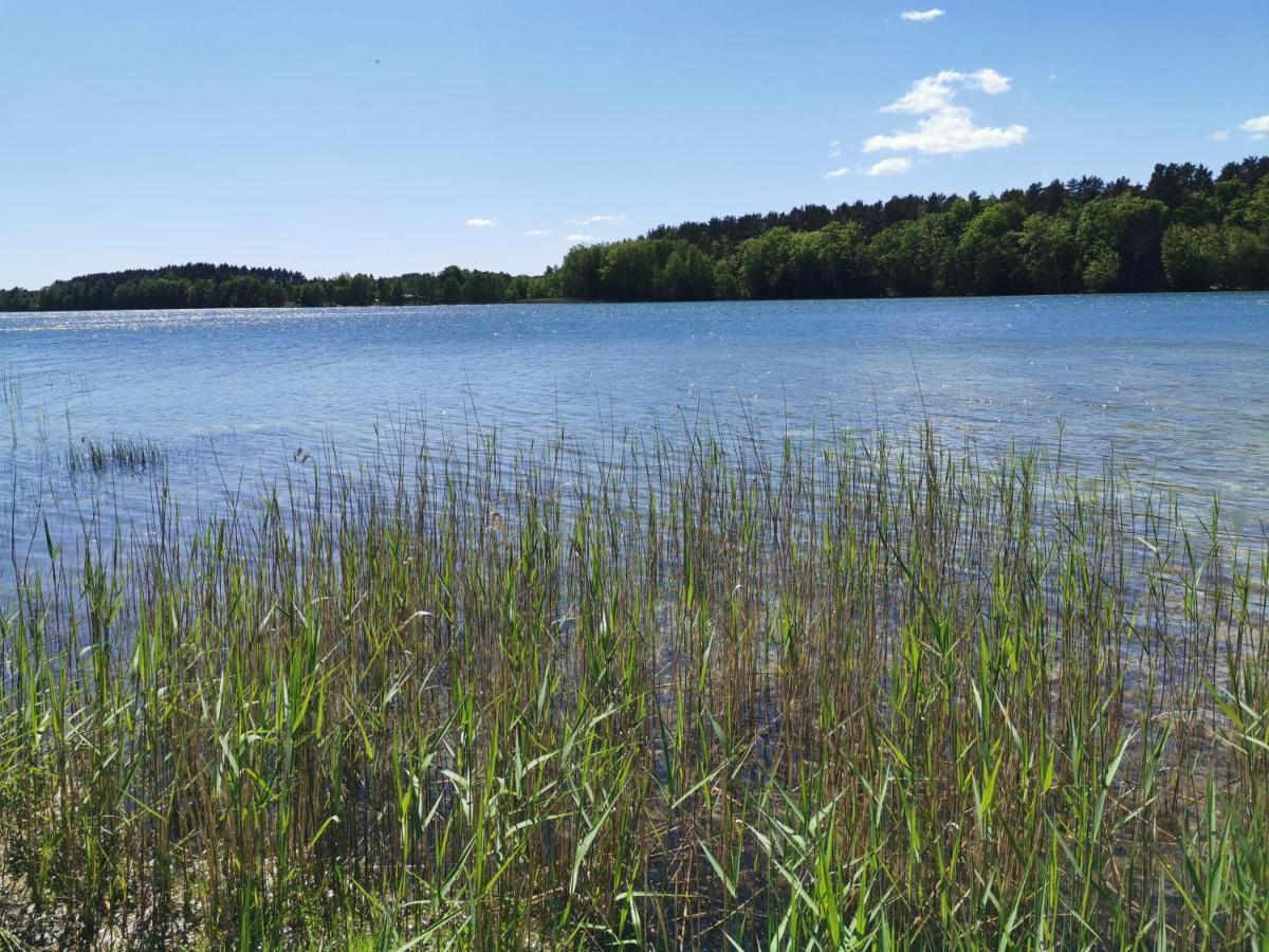 Kaszuby W Ostoja Bukowo - U Malgoski Domek 6 Z Widokiem Na Las I Internetem Villa Borowy Mlyn Buitenkant foto