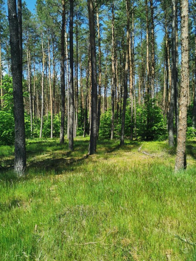 Kaszuby W Ostoja Bukowo - U Malgoski Domek 6 Z Widokiem Na Las I Internetem Villa Borowy Mlyn Buitenkant foto