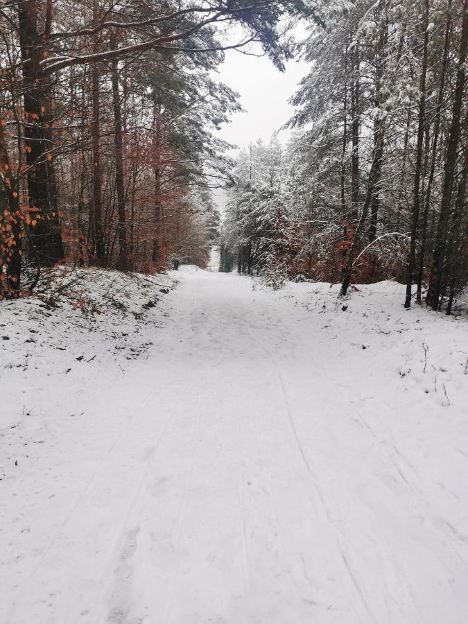 Kaszuby W Ostoja Bukowo - U Malgoski Domek 6 Z Widokiem Na Las I Internetem Villa Borowy Mlyn Buitenkant foto