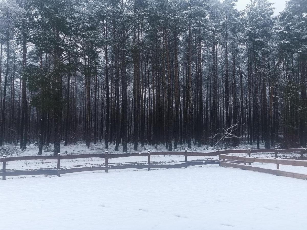 Kaszuby W Ostoja Bukowo - U Malgoski Domek 6 Z Widokiem Na Las I Internetem Villa Borowy Mlyn Buitenkant foto