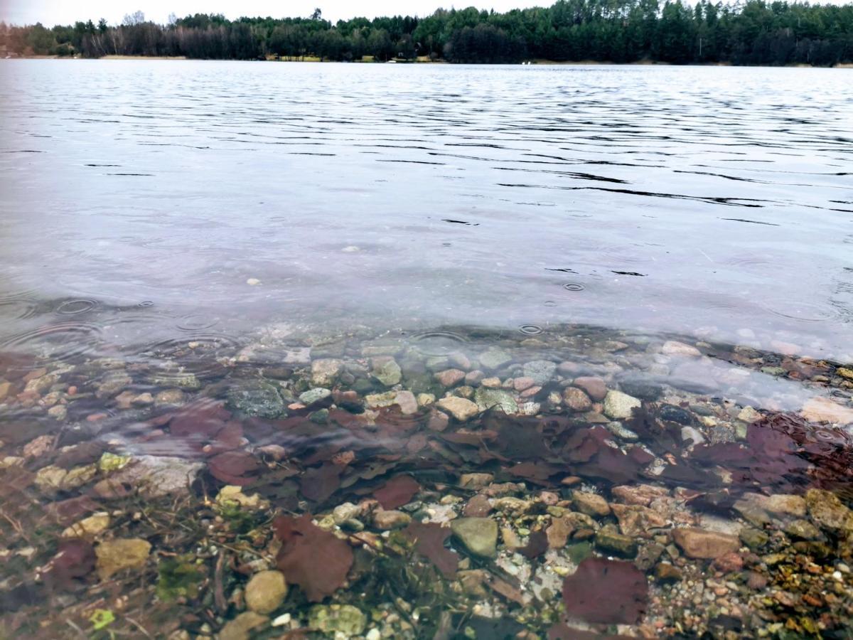 Kaszuby W Ostoja Bukowo - U Malgoski Domek 6 Z Widokiem Na Las I Internetem Villa Borowy Mlyn Buitenkant foto