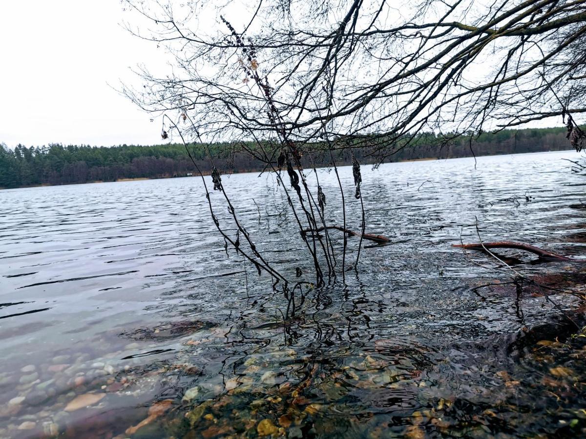 Kaszuby W Ostoja Bukowo - U Malgoski Domek 6 Z Widokiem Na Las I Internetem Villa Borowy Mlyn Buitenkant foto