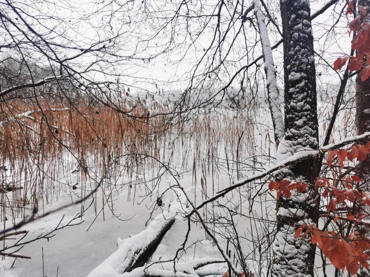 Kaszuby W Ostoja Bukowo - U Malgoski Domek 6 Z Widokiem Na Las I Internetem Villa Borowy Mlyn Buitenkant foto