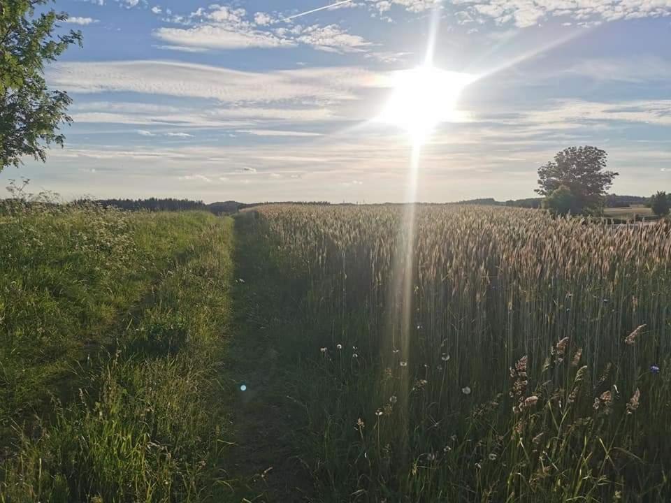 Kaszuby W Ostoja Bukowo - U Malgoski Domek 6 Z Widokiem Na Las I Internetem Villa Borowy Mlyn Buitenkant foto